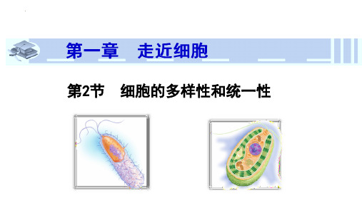 生物人教版(2019)必修1 1