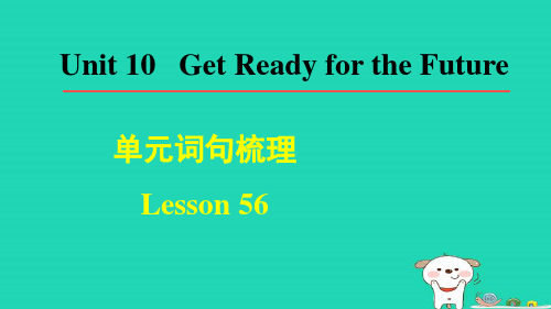 2024九年级英语下册Unit10Lesson56ManageYourTime词句梳理课件新版冀教版