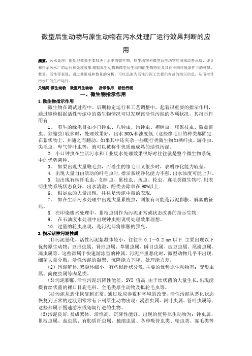 微型后生动物与原生动物在污水处理厂运行效果判断的应用