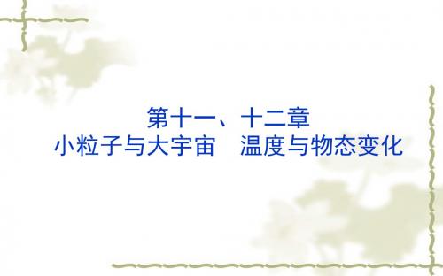 2018届山东版中考物理总复习第十一、十二章