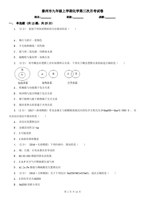 泰州市九年级上学期化学第三次月考试卷