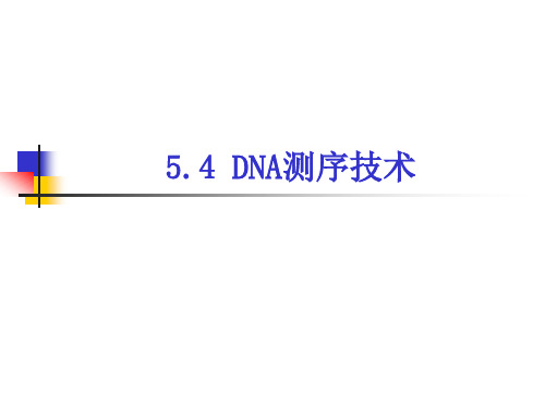 DNA的测序