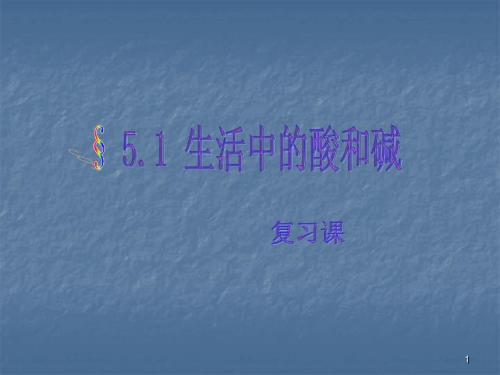 生活中的酸和碱复习课ppt课件