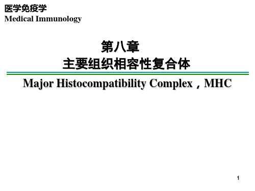 医学免疫学-第八章 主要组织相容性复合体共75页文档