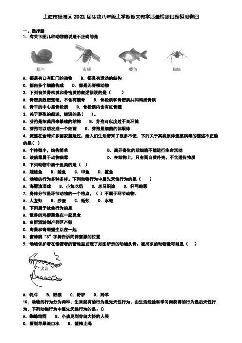 上海市杨浦区2021届生物八年级上学期期末教学质量检测试题模拟卷四