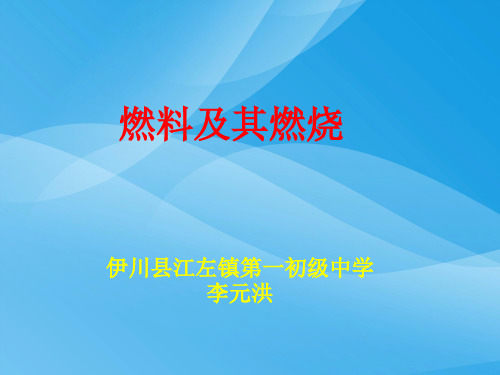 燃料及其燃烧PPT课件 人教版优质课件