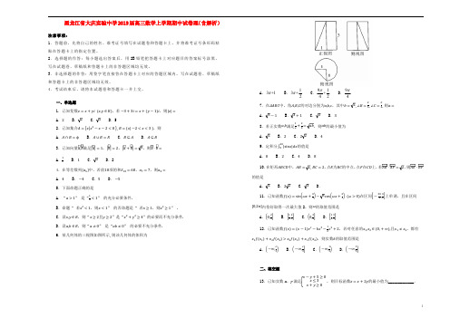 黑龙江省大庆实验中学2019届高三数学上学期期中试卷理(含解析)