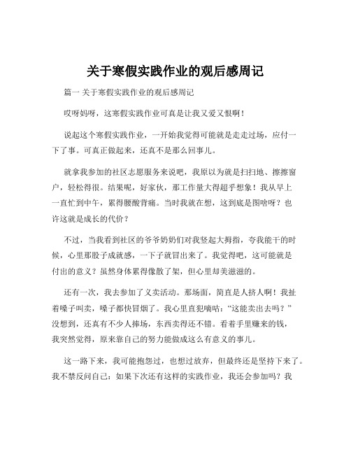 关于寒假实践作业的观后感周记