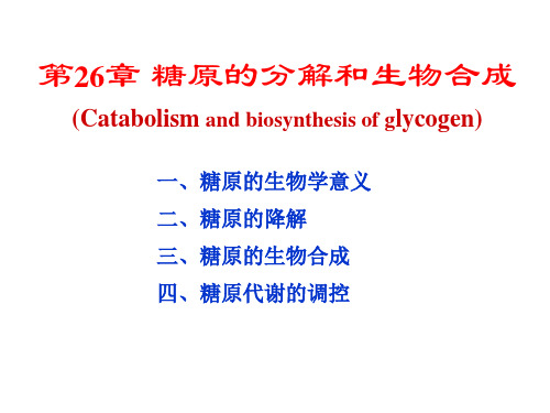 生物化学第26章糖原的分解和生物合成