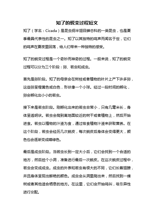 知了的蜕变过程短文