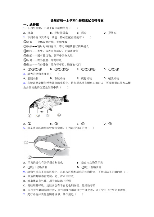 徐州市初一上学期生物期末试卷带答案