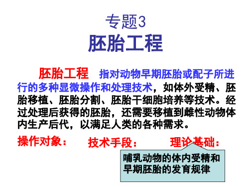 3.1体内受精和早期胚胎发育