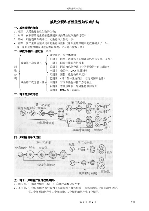 减数分裂知识点归纳