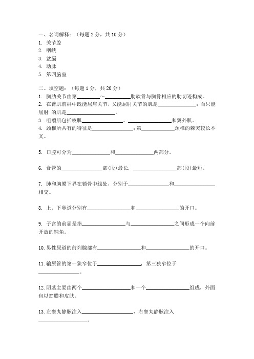 解剖试卷3