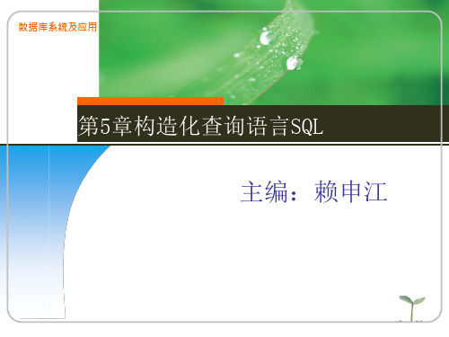 43_结构化查询语言SQL