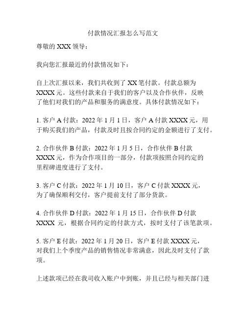 付款情况汇报怎么写范文