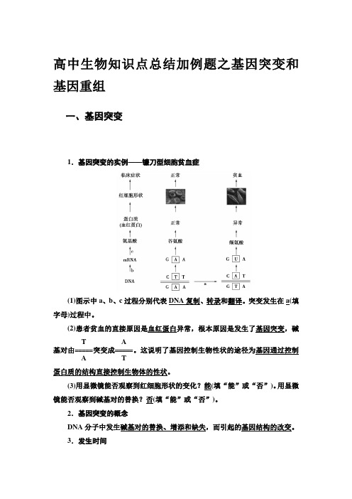 高中生物知识点总结加例题之基因突变和基因重组