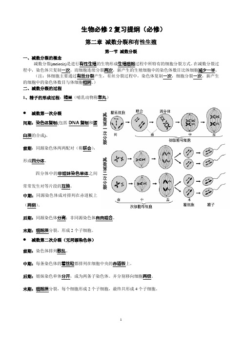 高中生物必修2复习提纲(最全)