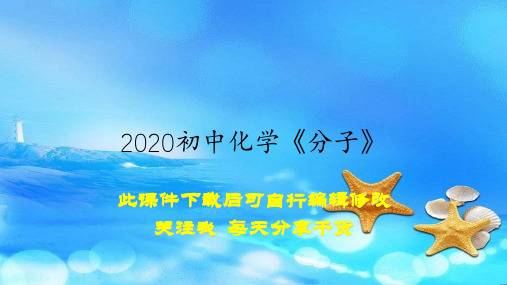 2020初中化学《分子》(教案)