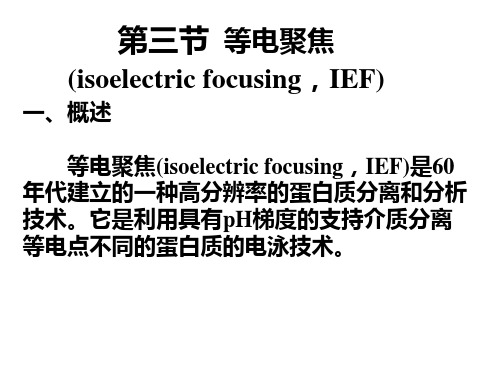 6第三节 等电聚焦(IEF)-生化分析