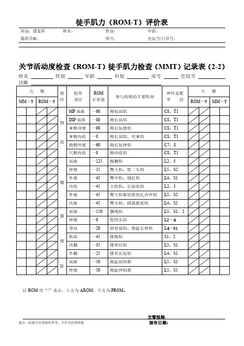 关节活动度检查(ROM-T)徒手肌力检查(MMT)-5