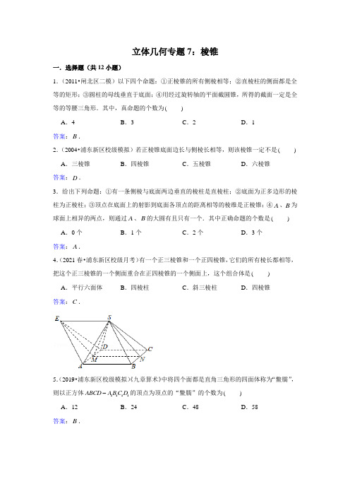 立体几何专题7：棱锥