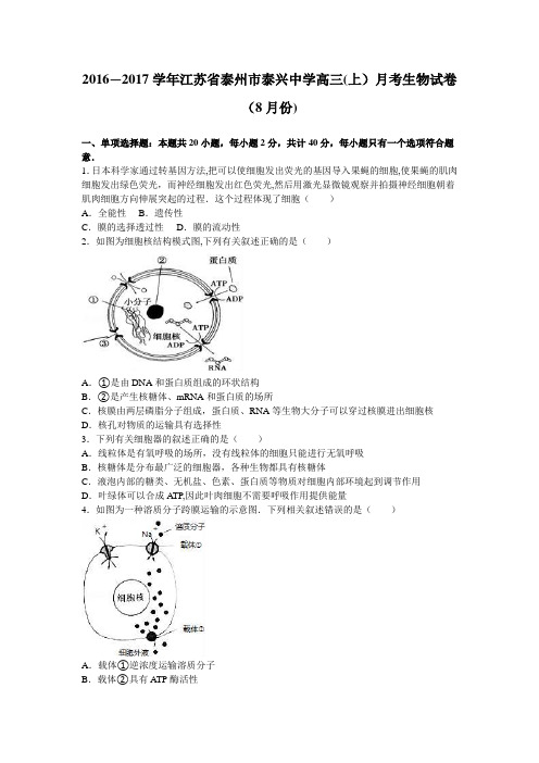 江苏省泰州市泰兴中学2017届高三上学期月考生物试卷(8月份) 含解析