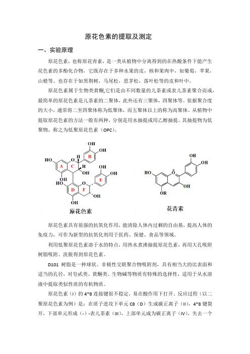 原花色素的提取及测定