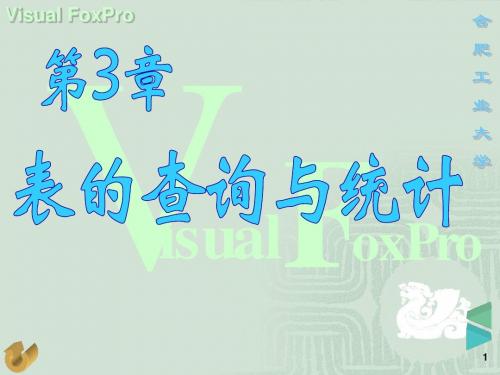 VFP第3章_2013