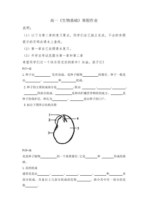 高一生物基础寒假作业