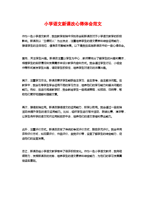 小学语文新课改心得体会范文