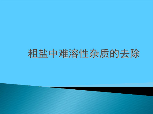 人教版初中化学九下11.1 生活中常见的盐-粗盐中难溶性杂质的去除 课件PPT