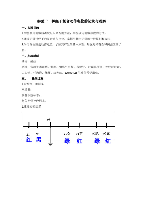 实验一 神经干复合动作电位的记录与观察.