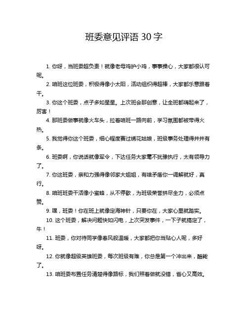 班委意见评语30字