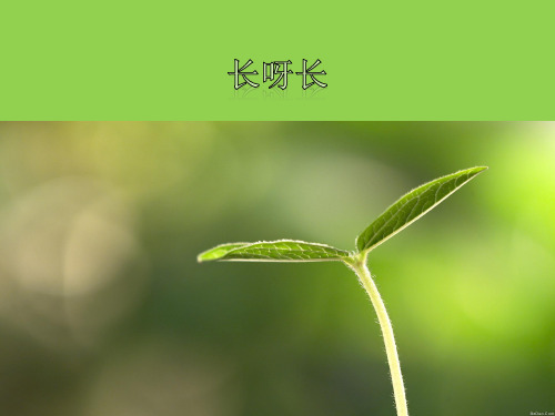 人美版小学一年级下册美术:长呀长_课件1