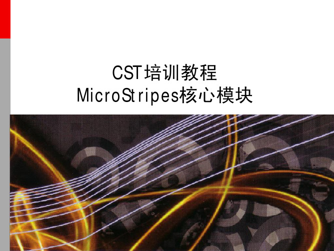 CST MS2010 L4 网格划分与材料