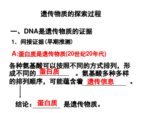 探索遗传物质的过程解答