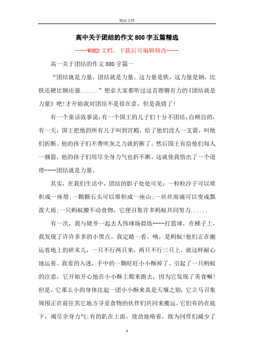 高中关于团结的作文800字五篇精选