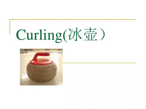 Curling(冰壶)