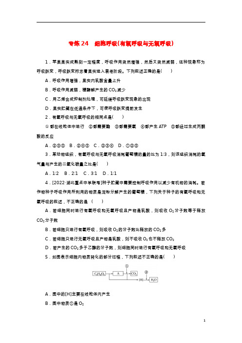 2023版新教材高考生物微专题小练习专练24细胞呼吸有氧呼吸与无氧呼吸