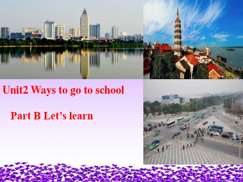 六年级上册英语课件Unit 2 Ways to go to school人教(PEP) (5)PPT