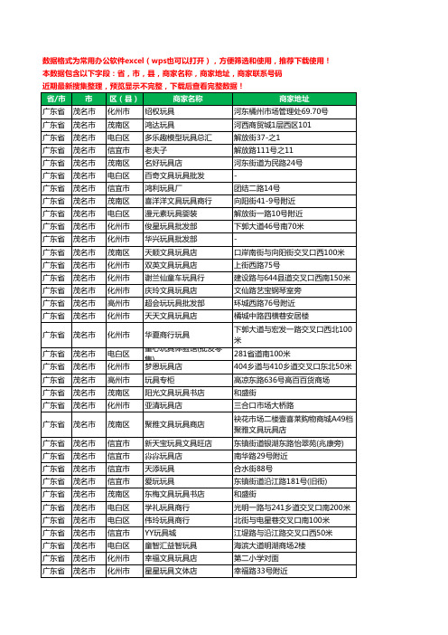 2020新版广东省茂名市玩具工商企业公司商家名录名单联系电话号码地址大全97家