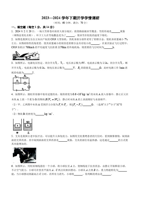 河南省实验中学2023-2024学年九年级下学期开学考试物理试题(有答案)