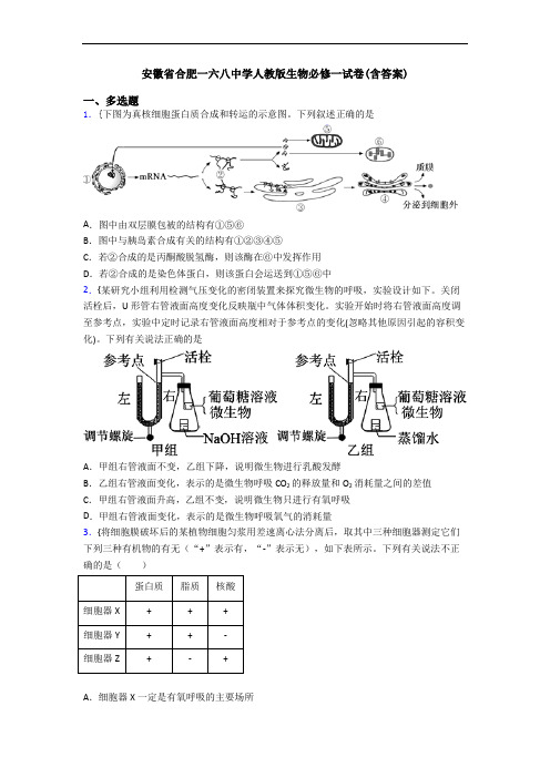 安徽省合肥一六八中学人教版生物必修一试卷(含答案)