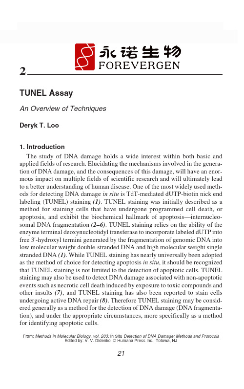 tunel_assay_protocol_永诺生物