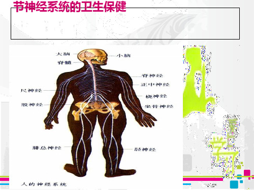 神经系统的卫生保健PPT课件3