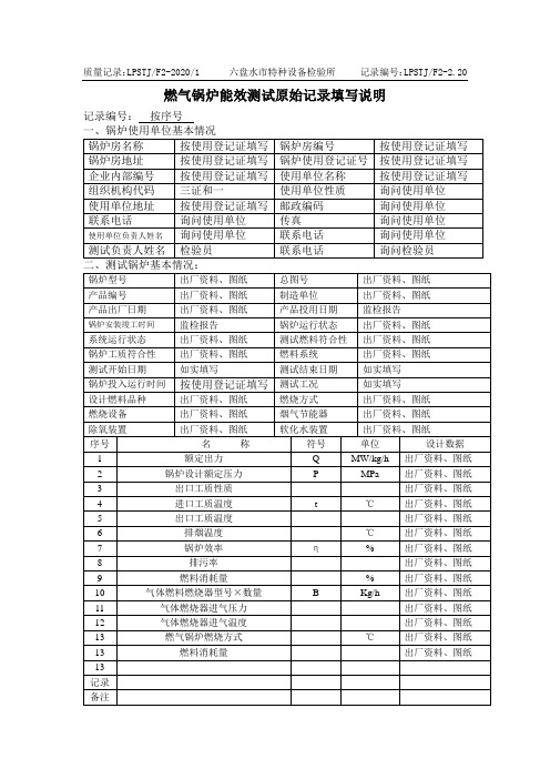 燃气锅炉能效测试原始记录(详细测试) 填写说明