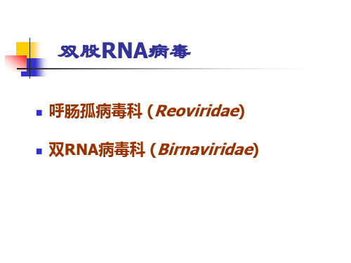 双股RNA病毒