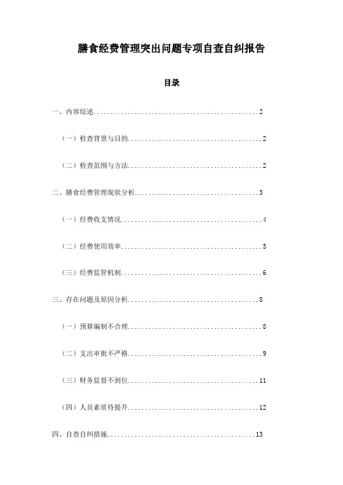 膳食经费管理突出问题专项自查自纠报告