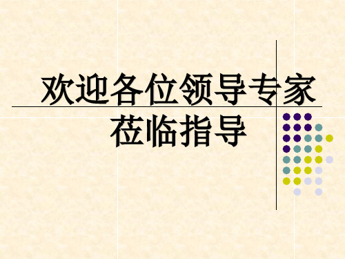 人教版化学必修一复习课：第十讲 氯及其化合物复习 课件